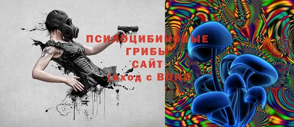 бутират Арсеньев