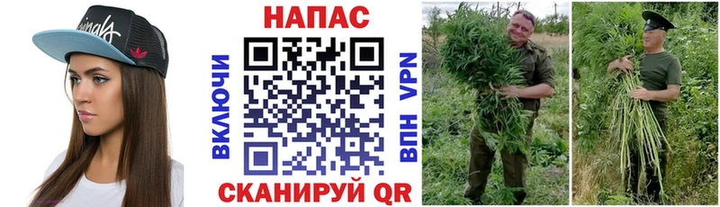 дарнет шоп  Карпинск  МАРИХУАНА THC 21% 